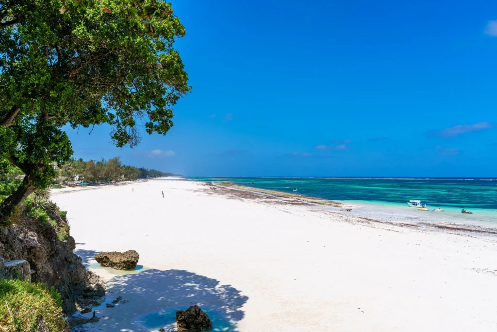 Diani Beach: Where the Ocean Meets Pure Serenity