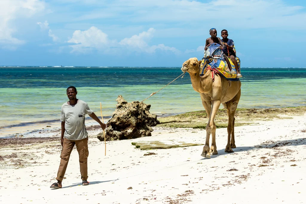 Galu Beach: Diani’s Peaceful Hidden Escape