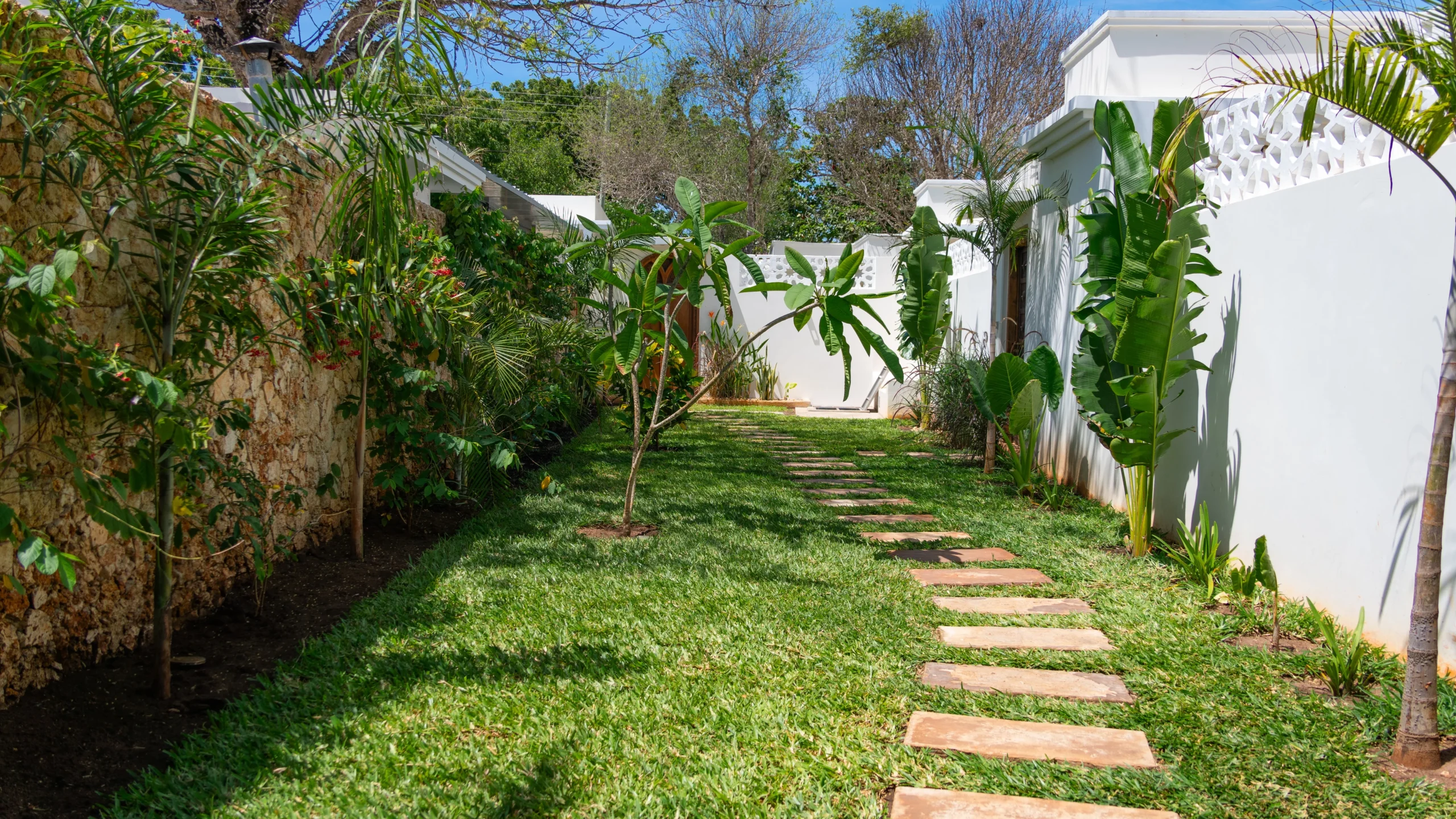 Cactus Villa 3