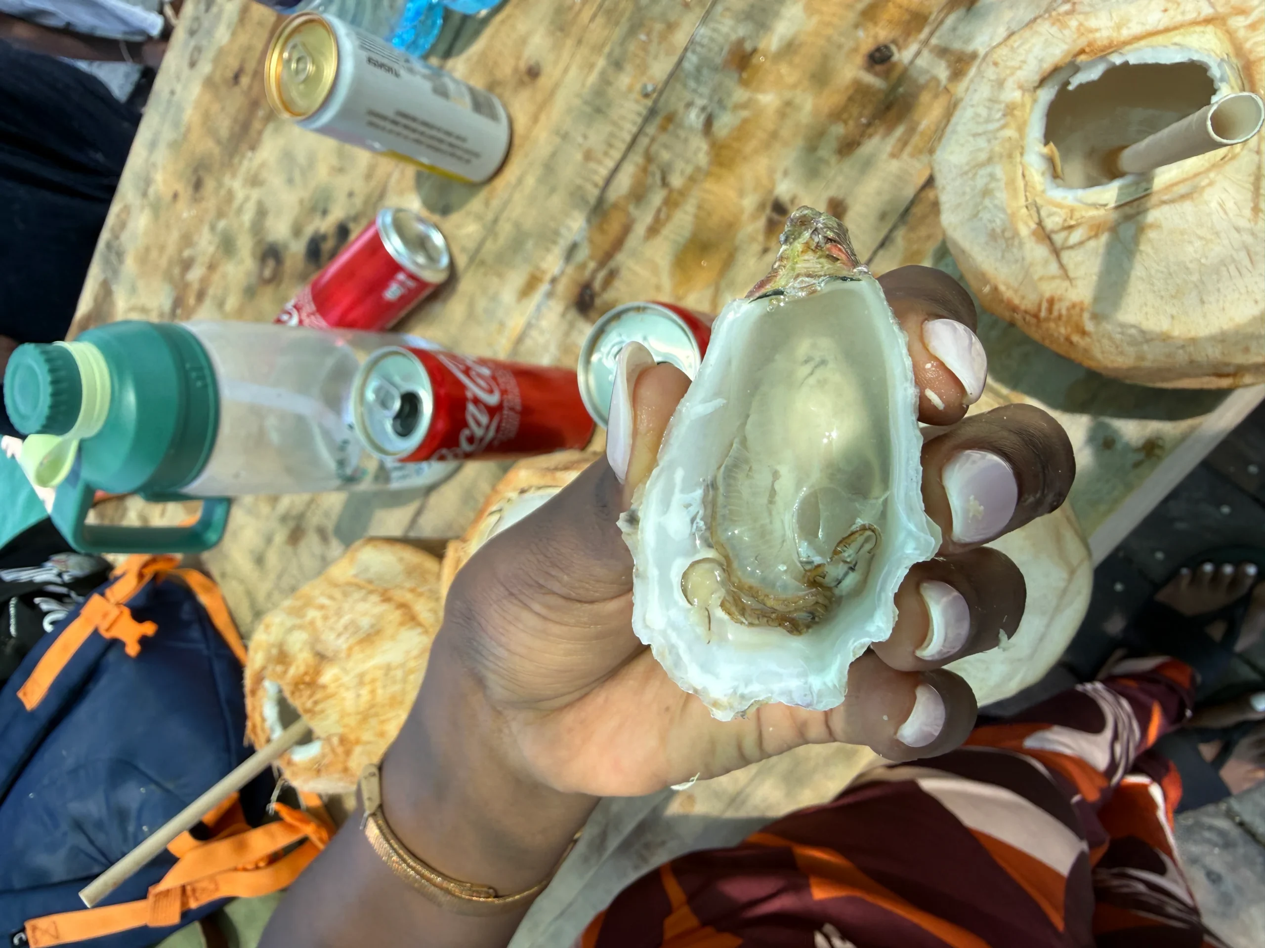 Swahili Coast Farms - Oyster Farm Tour