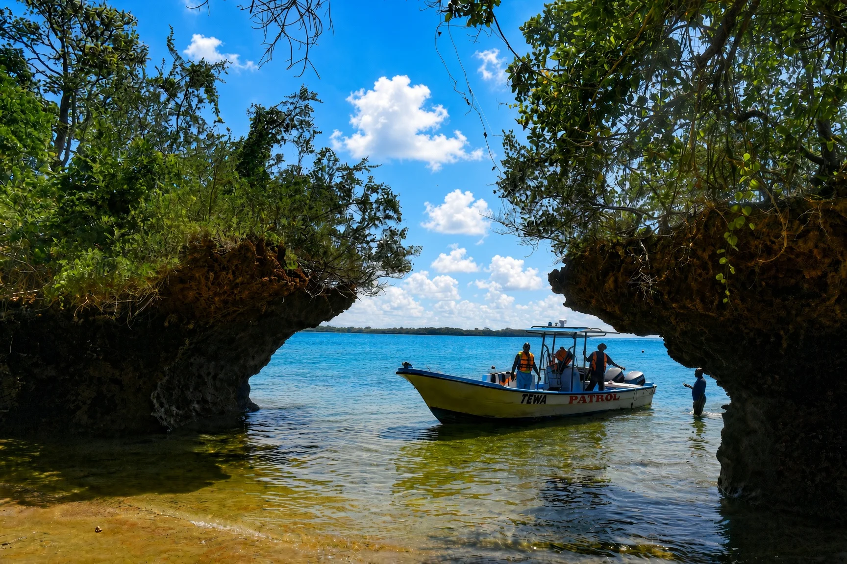 The Ultimate Marine Safari