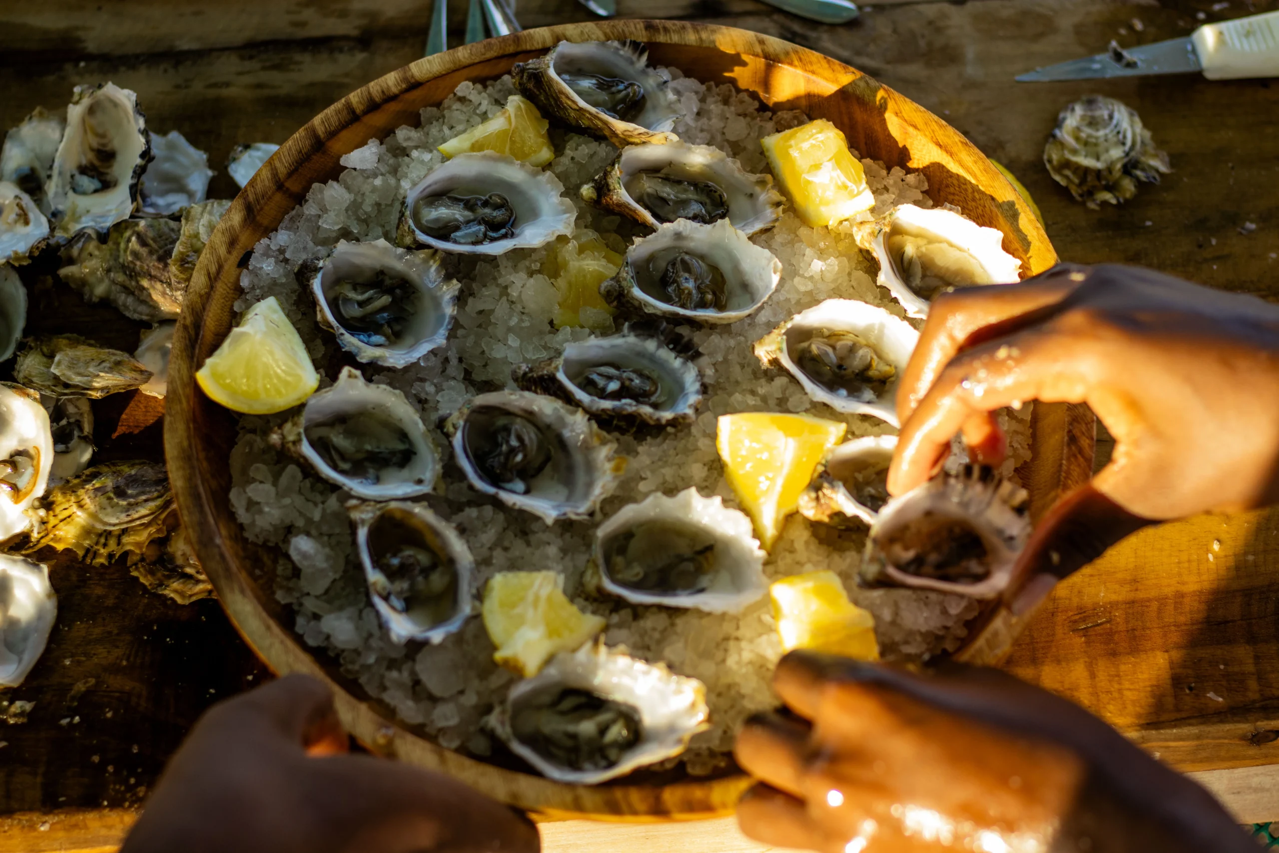 Swahili Coast Farms - Oyster Farm Tour