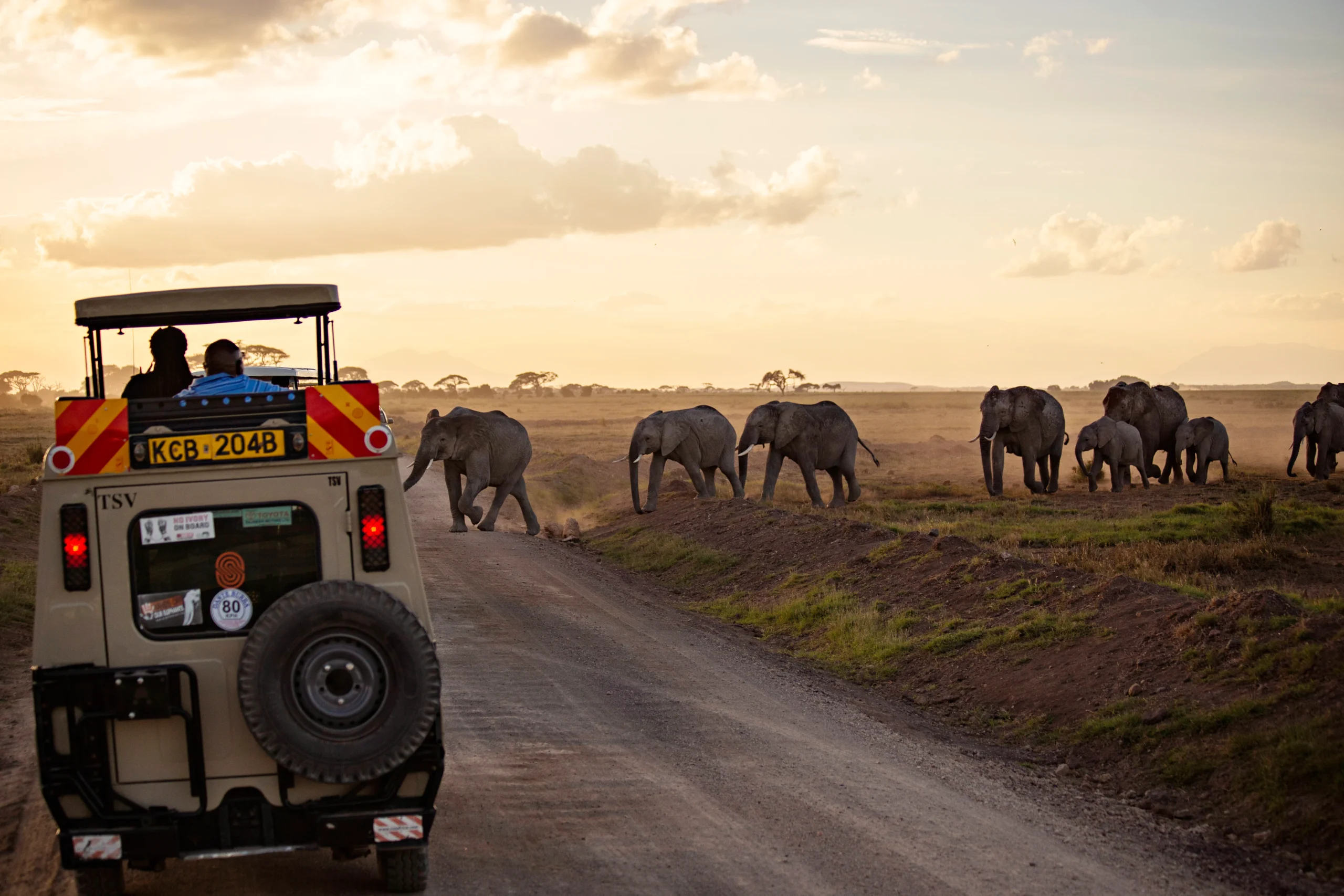 The Coastal Wilderness Safari